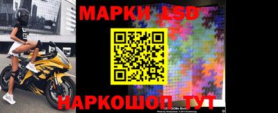 гашик Будённовск