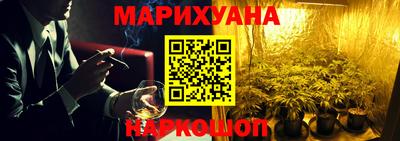 гашик Будённовск