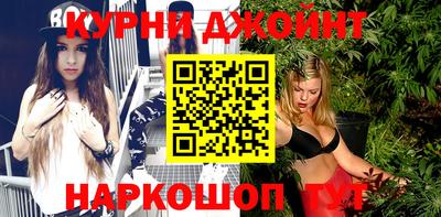 гашик Будённовск