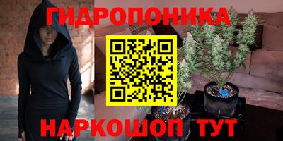 гашик Будённовск